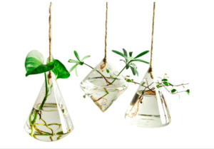 biophilic design planter glass