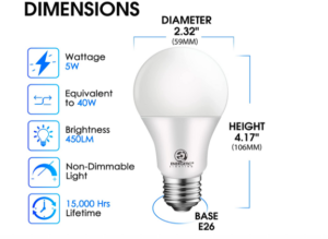 biophilic design light