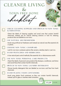 cleaner living checklist 01