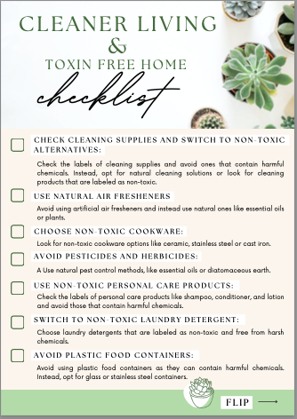 cleaner living checklist 01