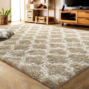 LIVING ROOM RUG